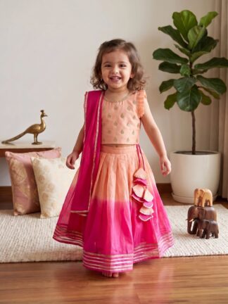 Lotus pink patch work lehenga